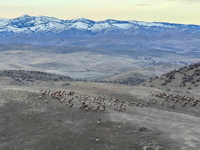 $7,950,000 | 1854 Guilford Road, Weiser, ID 83672