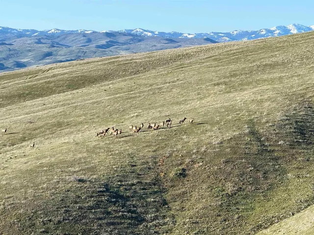 $7,950,000 | 1854 Guilford Road, Weiser, ID 83672