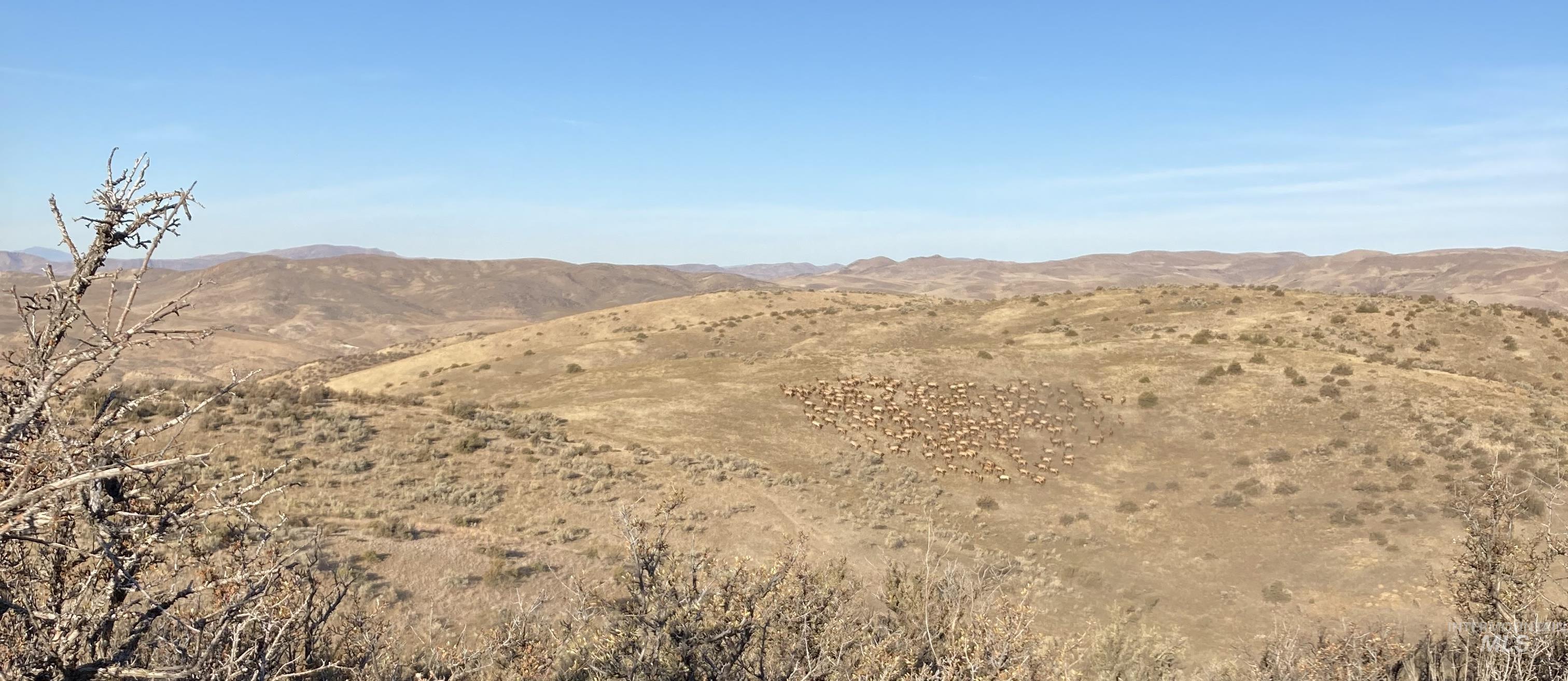 1854 Guilford Road Weiser, ID 83672 - Photo 33 of 33 Mountain view