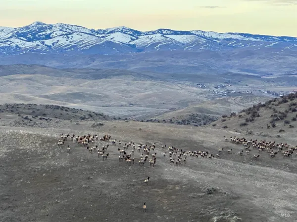 $7,950,000 | 1854 Guilford Road, Weiser, ID 83672