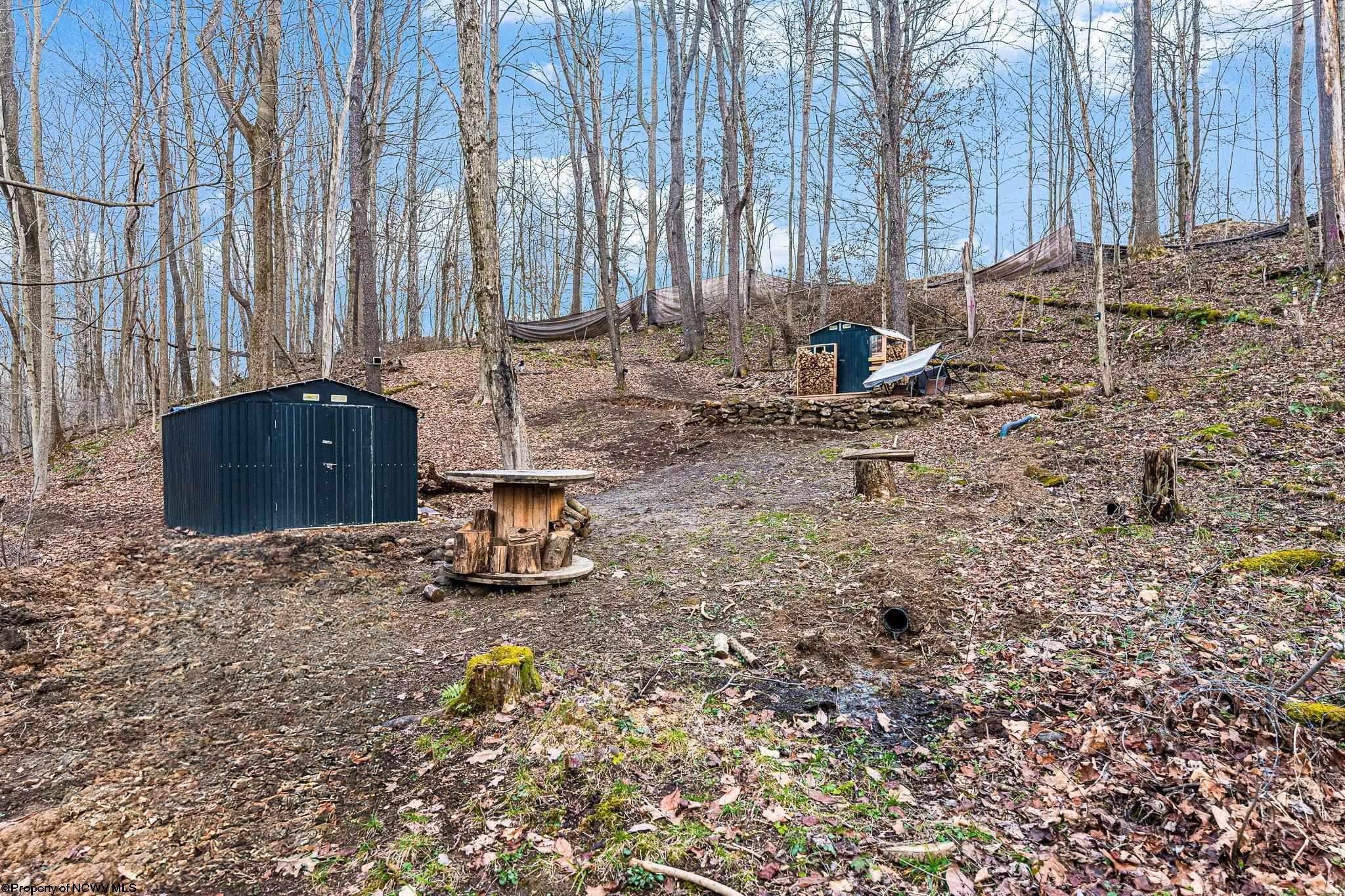 Tbd Coal Lick Road Albright, WV 26519 - Photo 16 of 21 Gallery Image 16