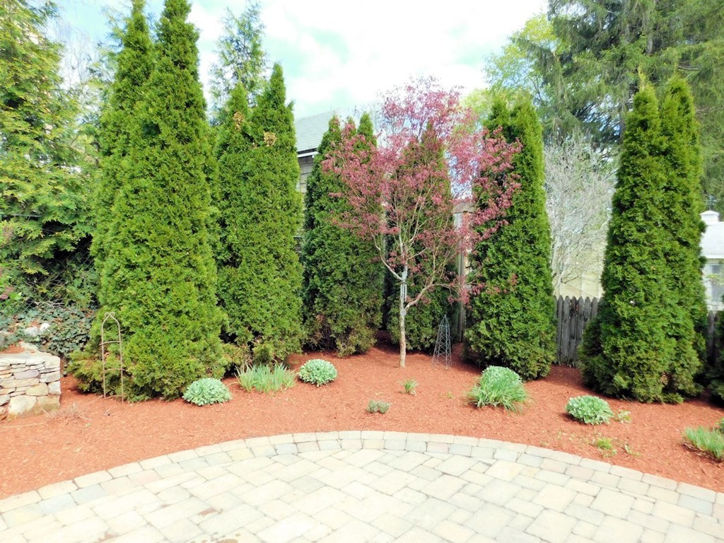 20 Kimball Road Arlington, MA 02474 - Photo 23 of 26