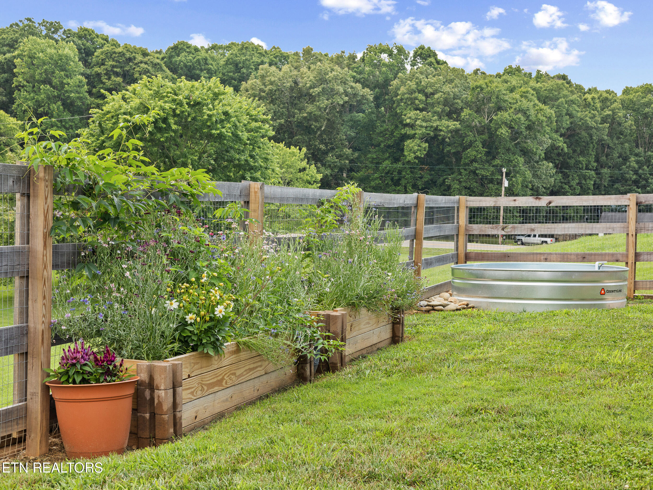 3861 Valentine Road Maryville, TN 37804 - Photo 28 of 34 Stock Pool & Flowers