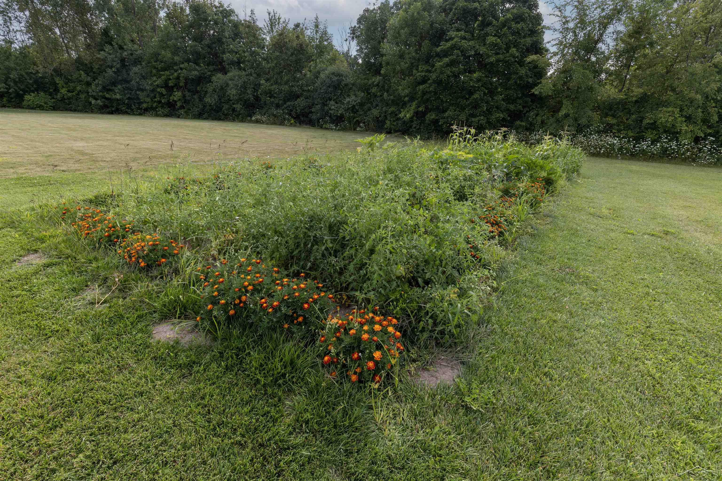 8295 Summer Ridge Court Freeland, MI 48623 - Photo 10 of 59 50152920-157effce-6fb4-4cee-9227-67a932a15944.JPG