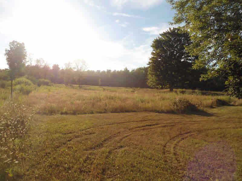 2996 Rhodes Road Rhodes, MI 48652 - Photo 15 of 19