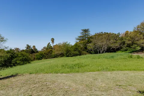 a view of a field with an trees in the background