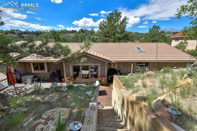 a view of a tree in a garden