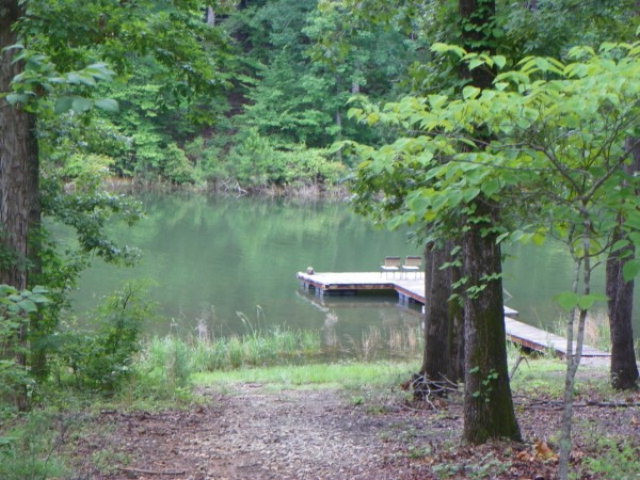 227 Jasper Road Modoc, SC 29838 - Photo 18 of 18