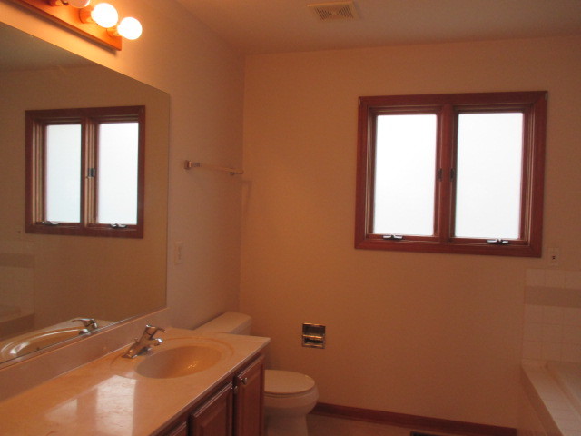 802 Ridge Drive Elburn, IL 60119 - Photo 9 of 14 a bathroom with a sink a toilet and a window