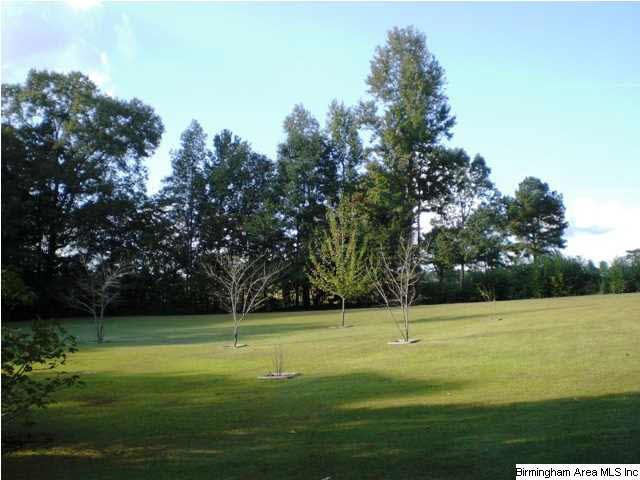 124 Mooney Road Columbiana, AL 35051 - Photo 2 of 31