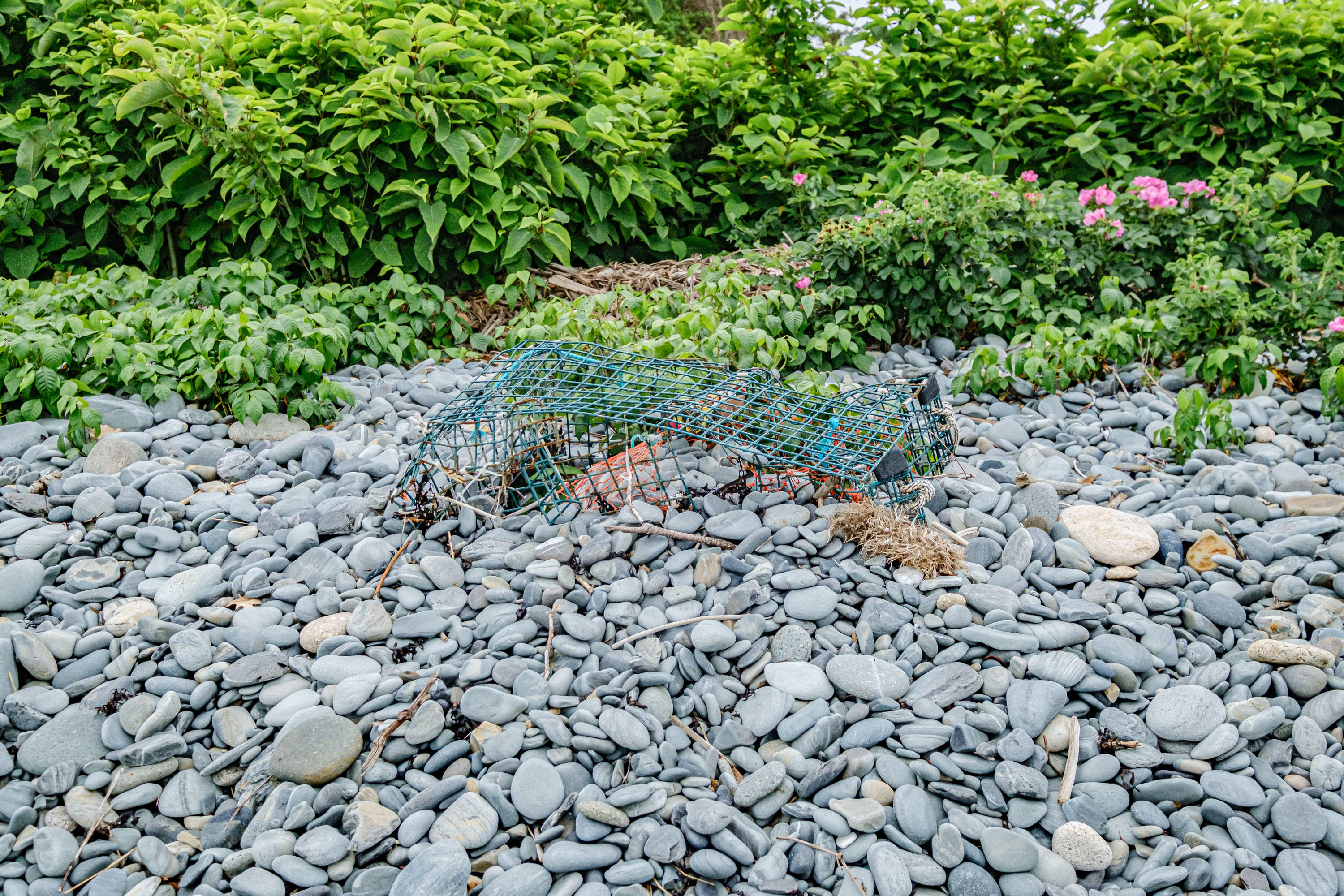 741 Shore Road Cape Neddick, ME 03902 - Photo 120 of 129 20210701mvht-63115