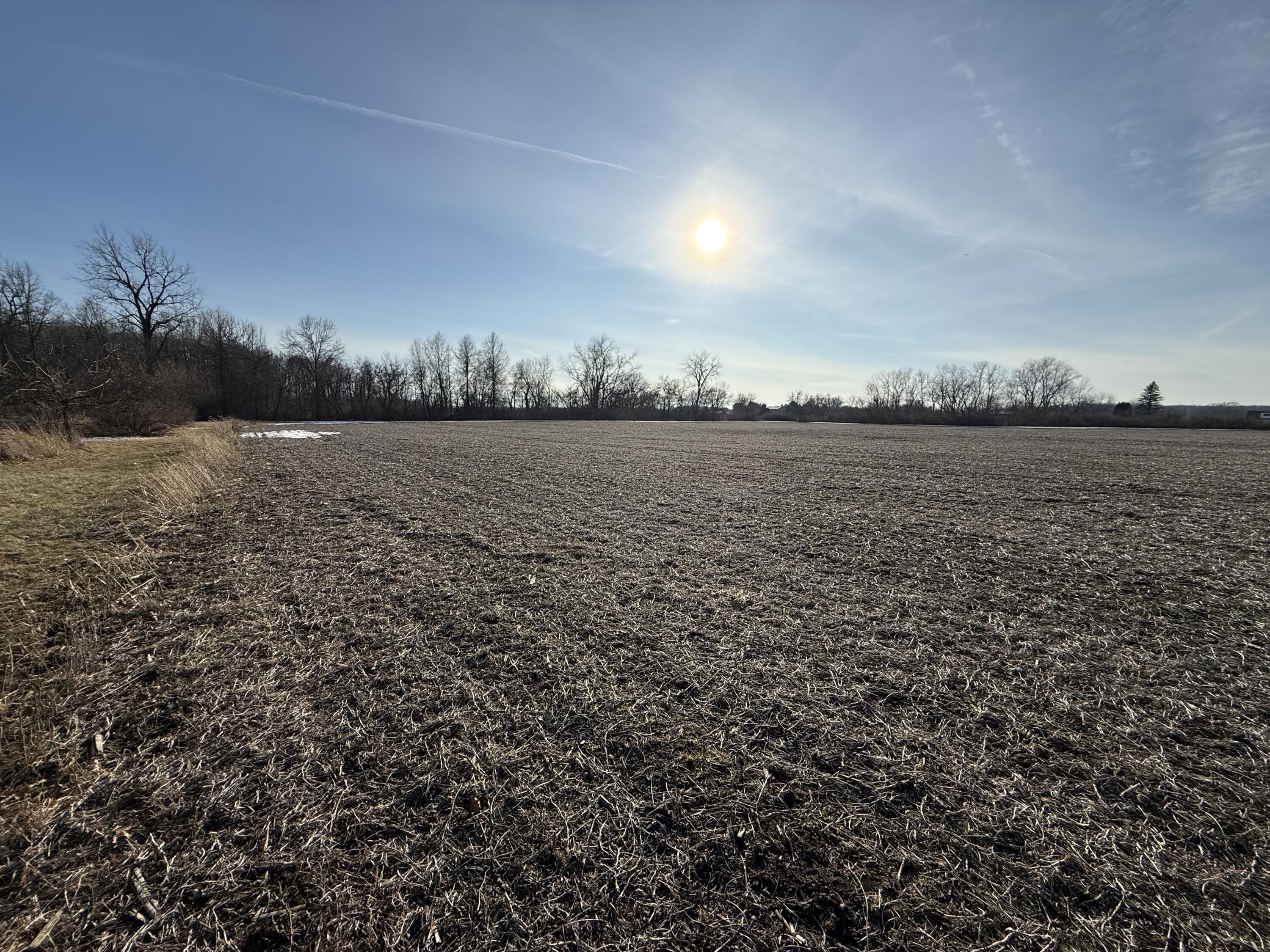 4901 Samaria Road Temperance, MI 48182 - Photo 1 of 10 AG Field
