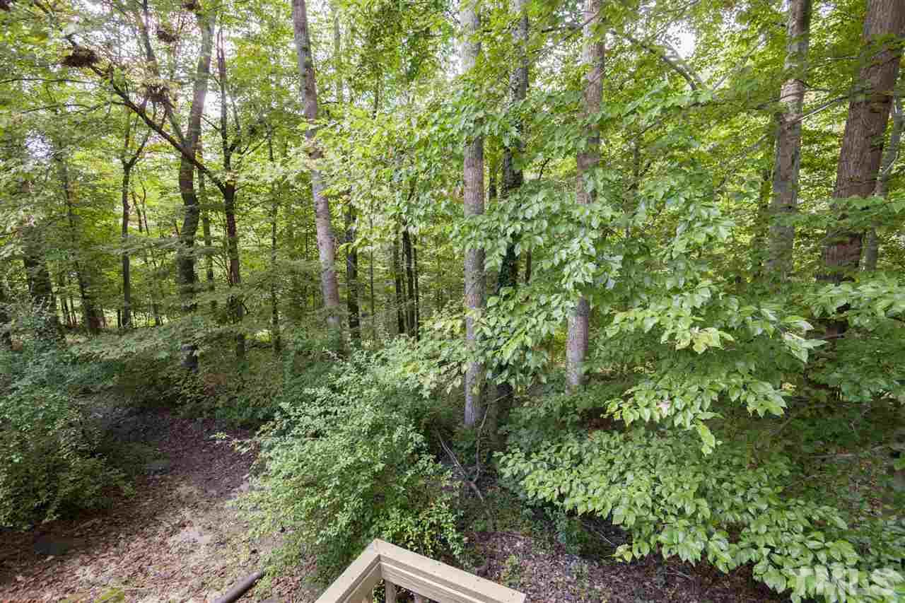 43 Stoneridge Road Durham, NC 27705 - Photo 24 of 24 a view of a forest with a tree