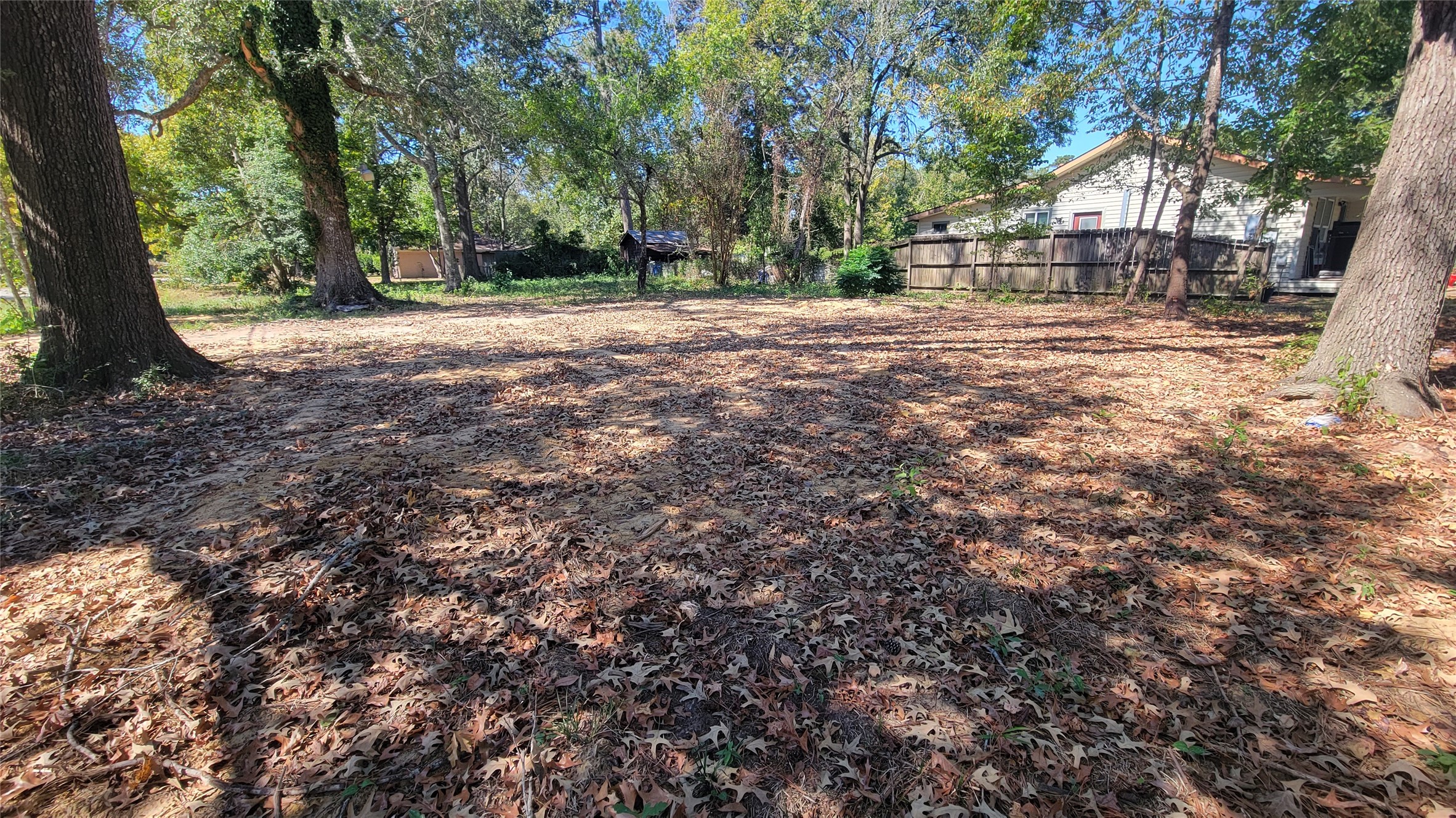 1109 Truman Street Cleveland, TX 77327 - Photo 4 of 4 a view of a yard with plants and trees