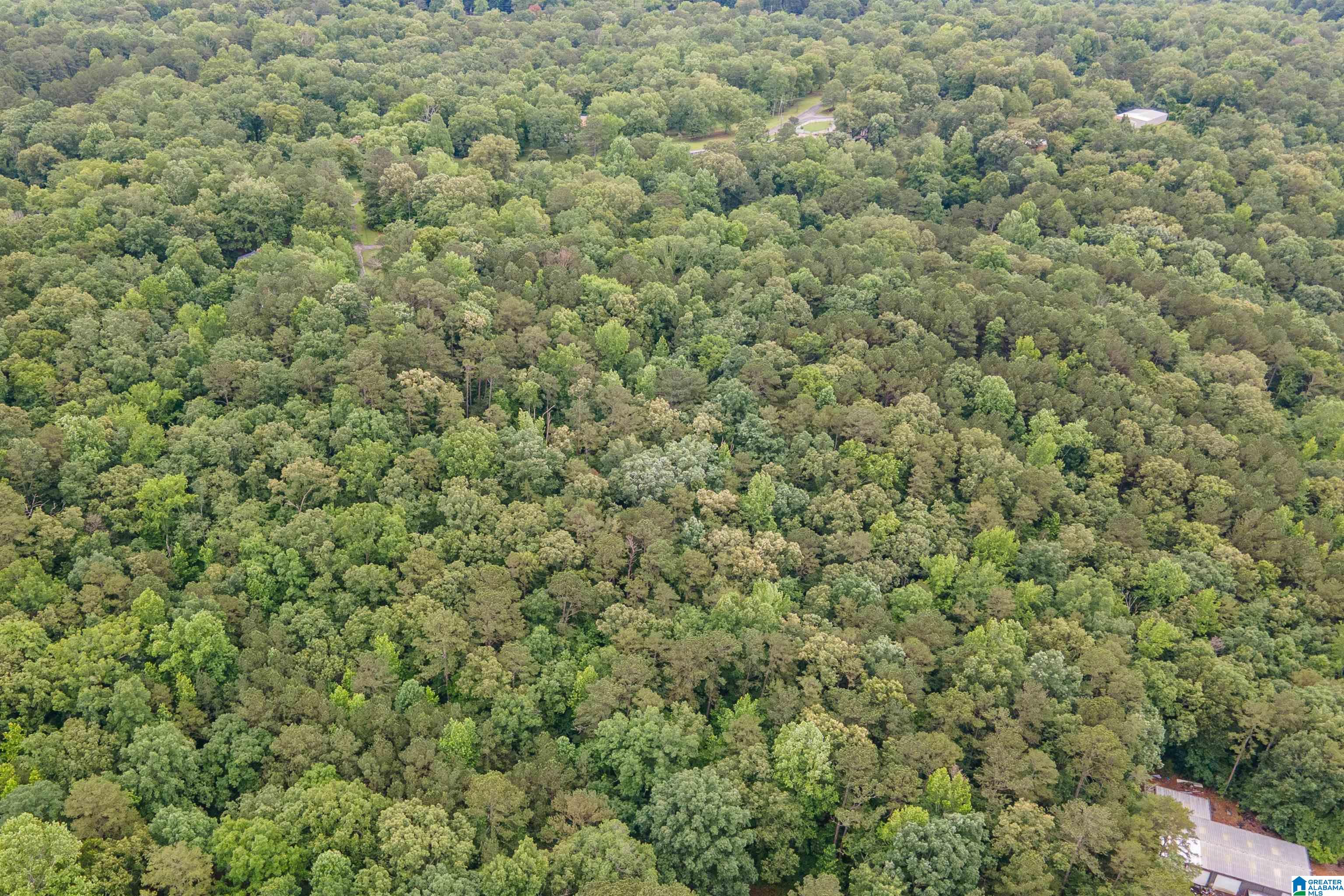 37 Forest Lane Warrior, AL 35180 - Photo 6 of 10