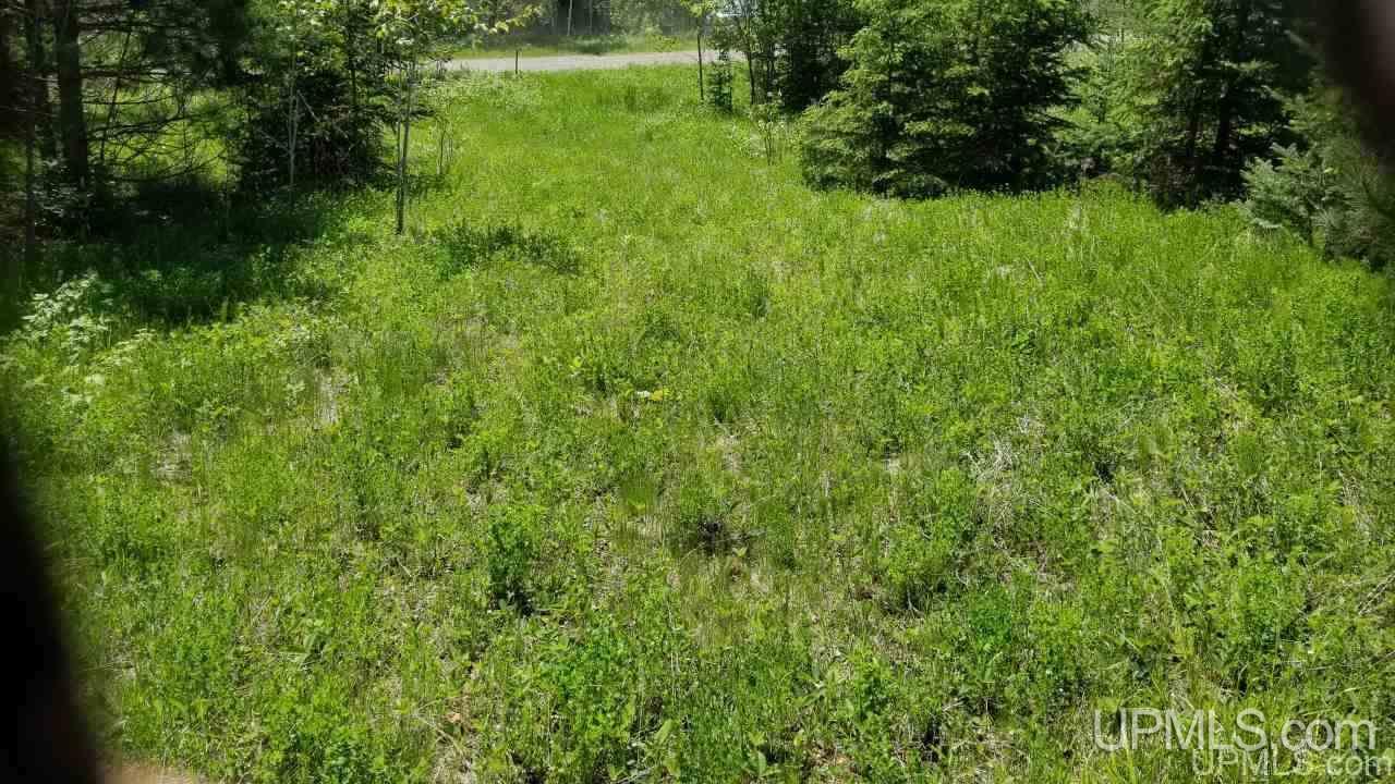 Tbd North Angeli Road, Unit 15 Iron River, MI 49935 - Photo 11 of 15