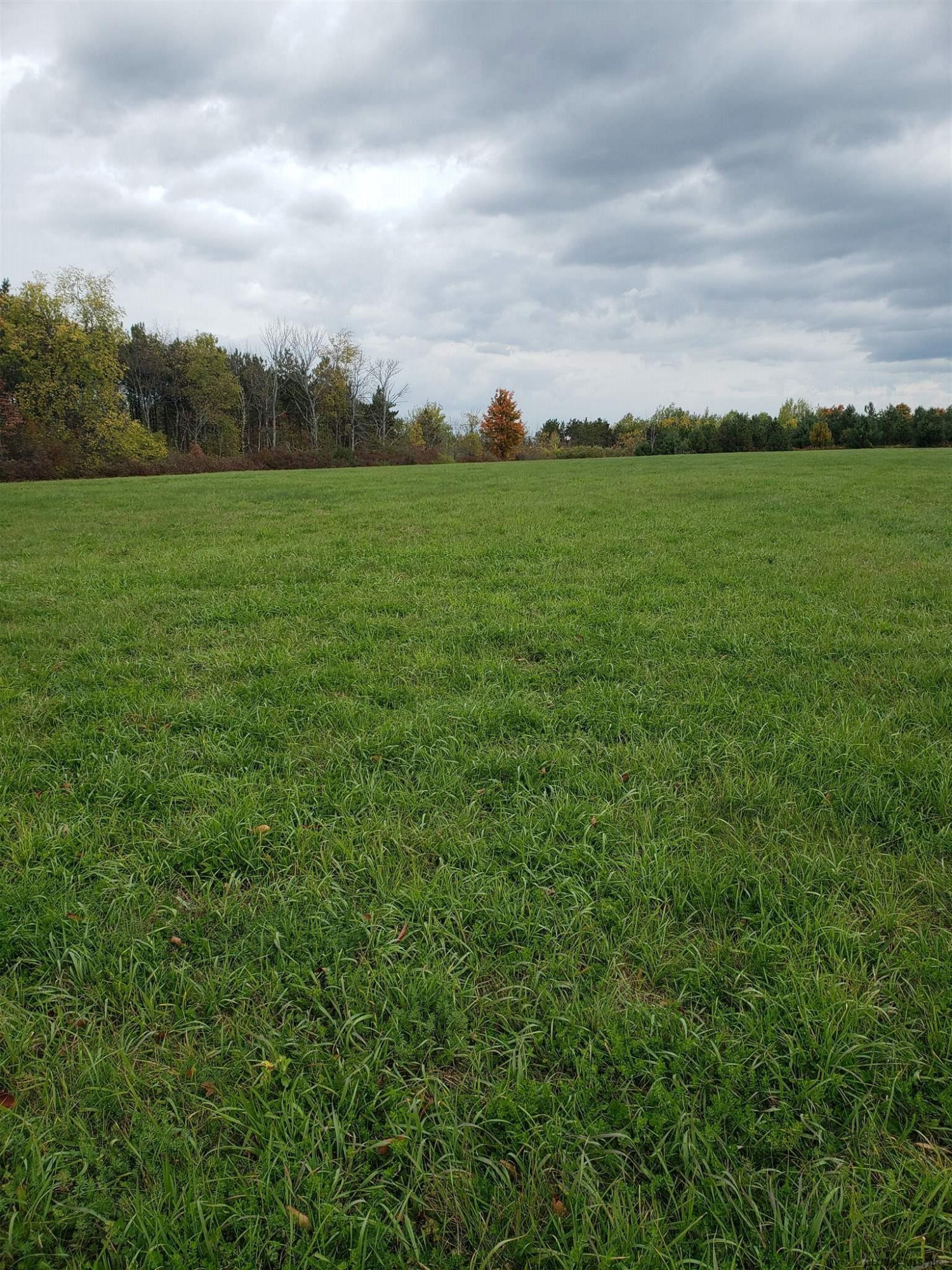0 State Rt 85 Westerlo, NY 12193 - Photo 1 of 6 Photo 1