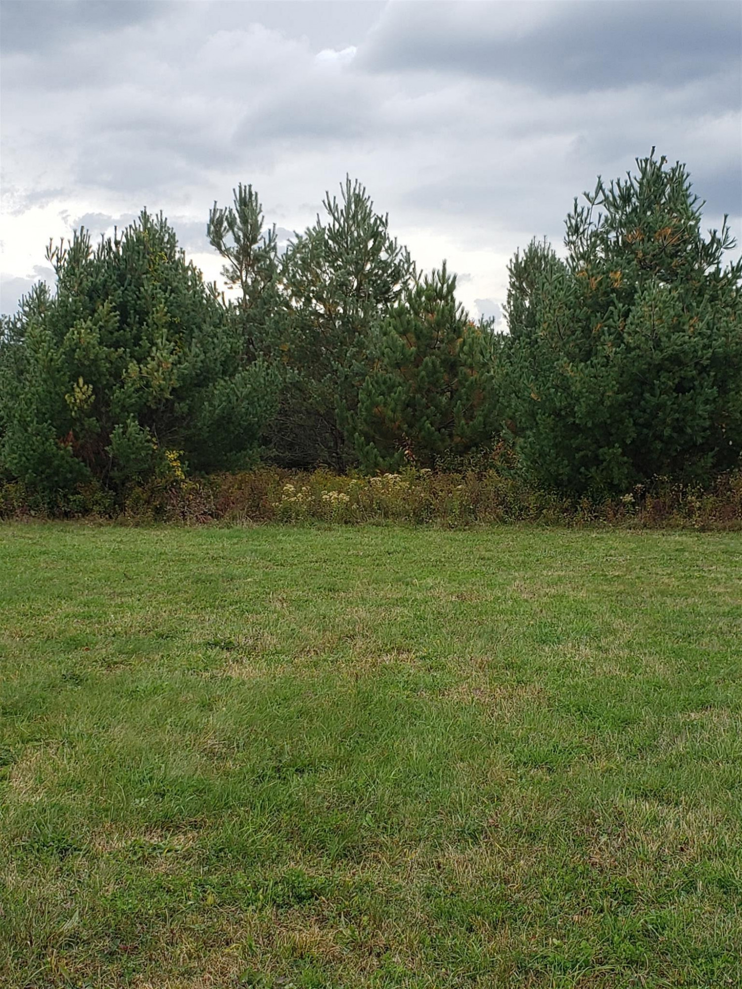 0 State Rt 85 Westerlo, NY 12193 - Photo 2 of 6 Photo 2