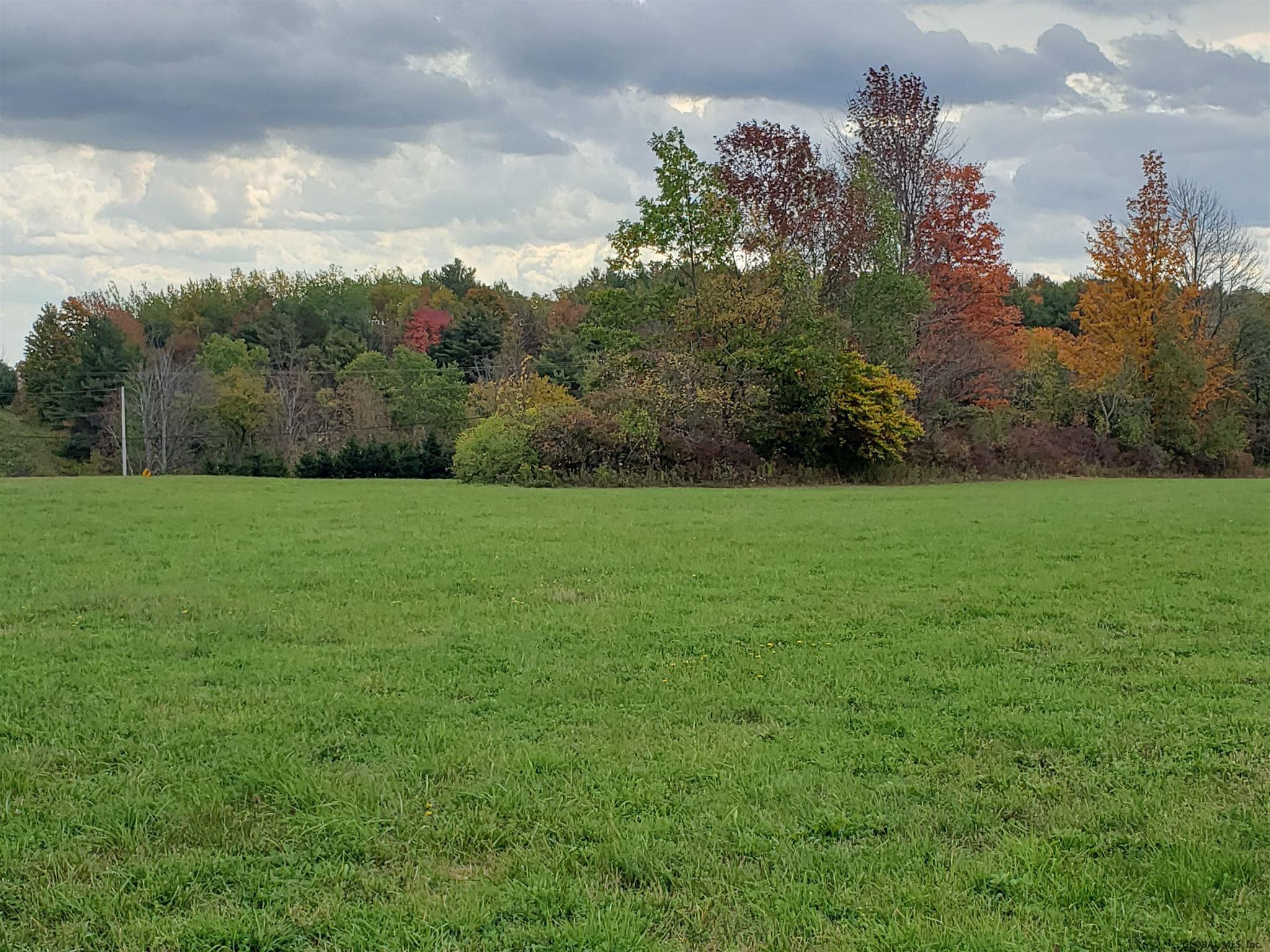 0 State Rt 85 Westerlo, NY 12193 - Photo 4 of 6 Photo 4