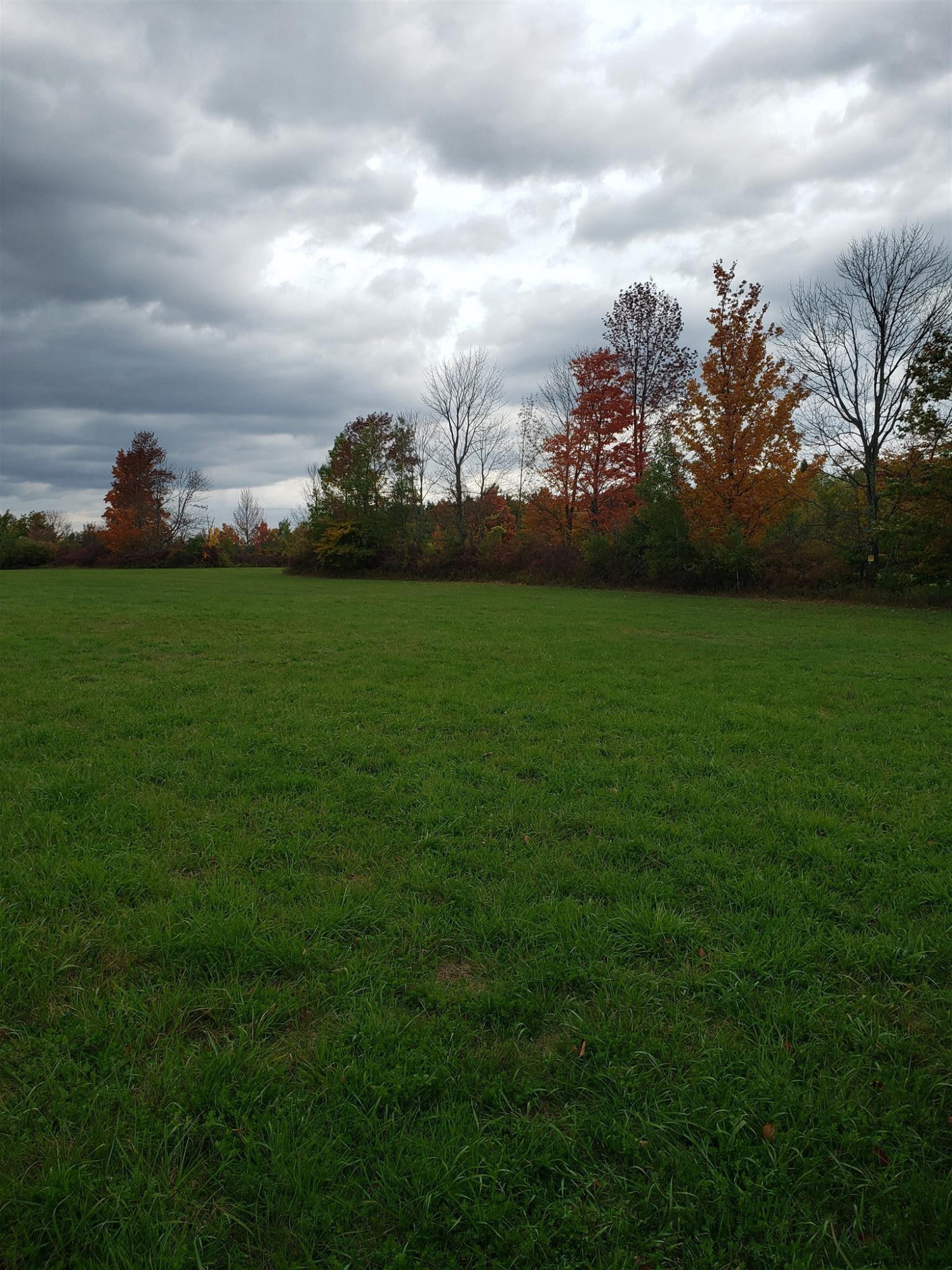 0 State Rt 85 Westerlo, NY 12193 - Photo 5 of 6 Photo 5