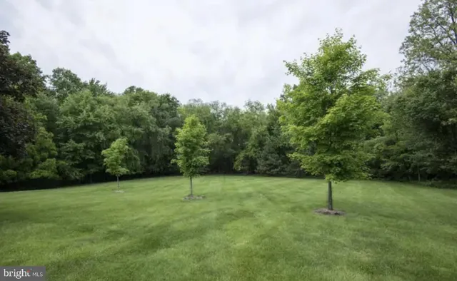 a city view with tall buildings