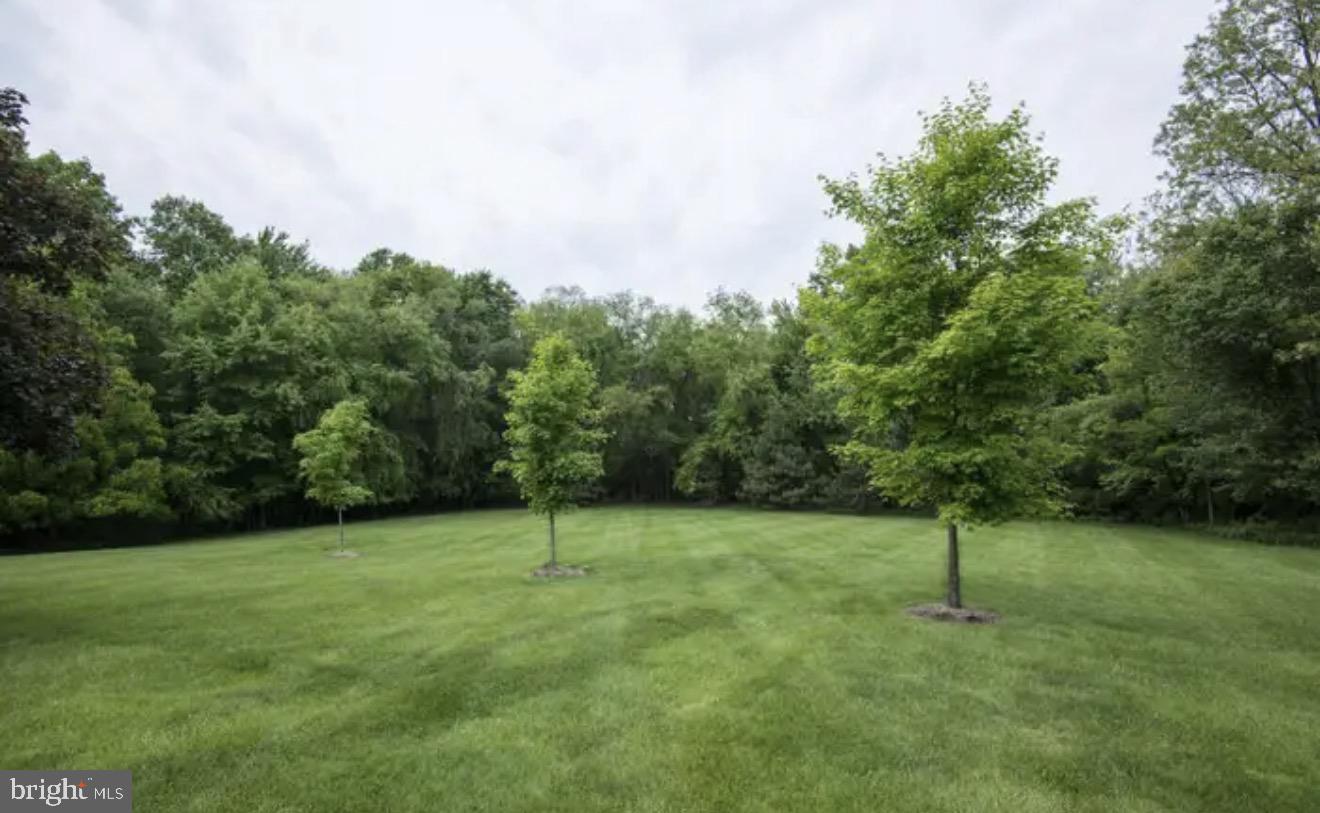 1707 Tyvale Court Vienna, VA 22182 - Photo 26 of 28 a view of a tree in a field