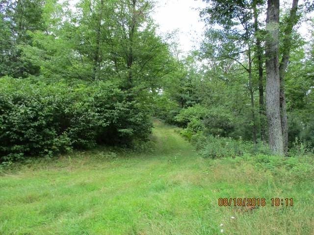 9802 Bolger Lake Road Minocqua, WI 54548 - Photo 13 of 20 Gallery Image 13
