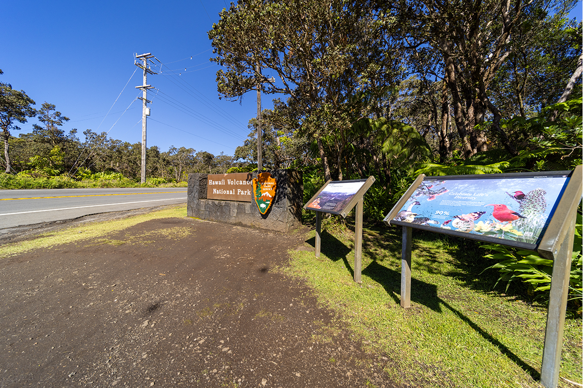 38 Wright Road Volcano, HI 96785 - Photo 3 of 19 Gallery Image 3