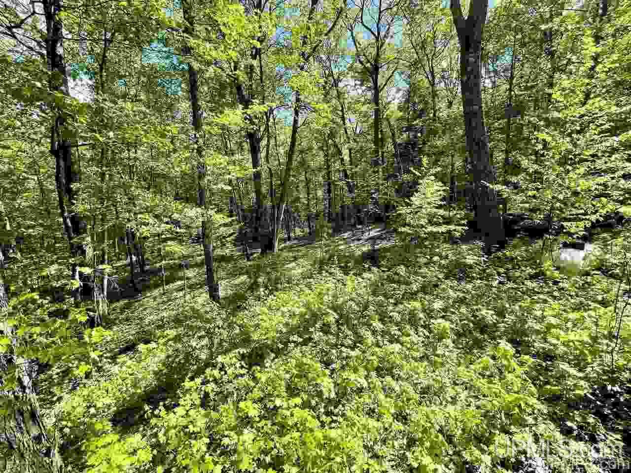 123 Tamarack Lake Road Iron River, MI 49935 - Photo 19 of 21
