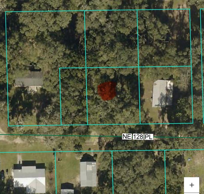 1875 Northeast 128th Place Anthony, FL 32617 - Photo 26 of 26