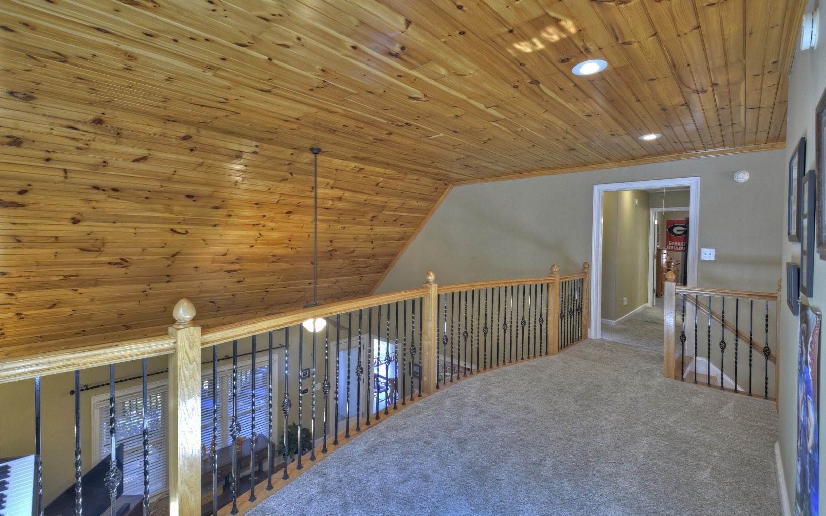 159 Meadowlark Lane Blue Ridge, GA 30513 - Photo 25 of 54 Additional View