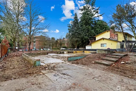 a view of a yard with trees