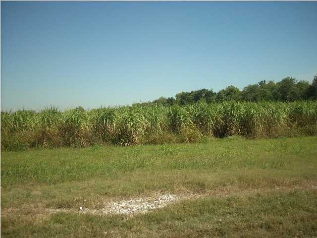 0 Lormand Road Maurice, LA 70555 - Photo 2 of 2 Additional Photo