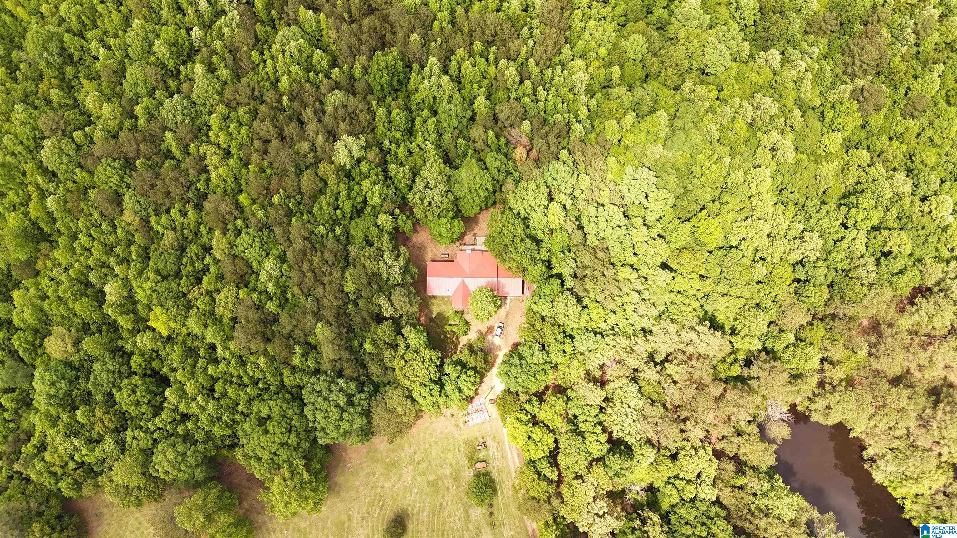 2488 Louina Road Roanoke, AL 36274 - Photo 88 of 97