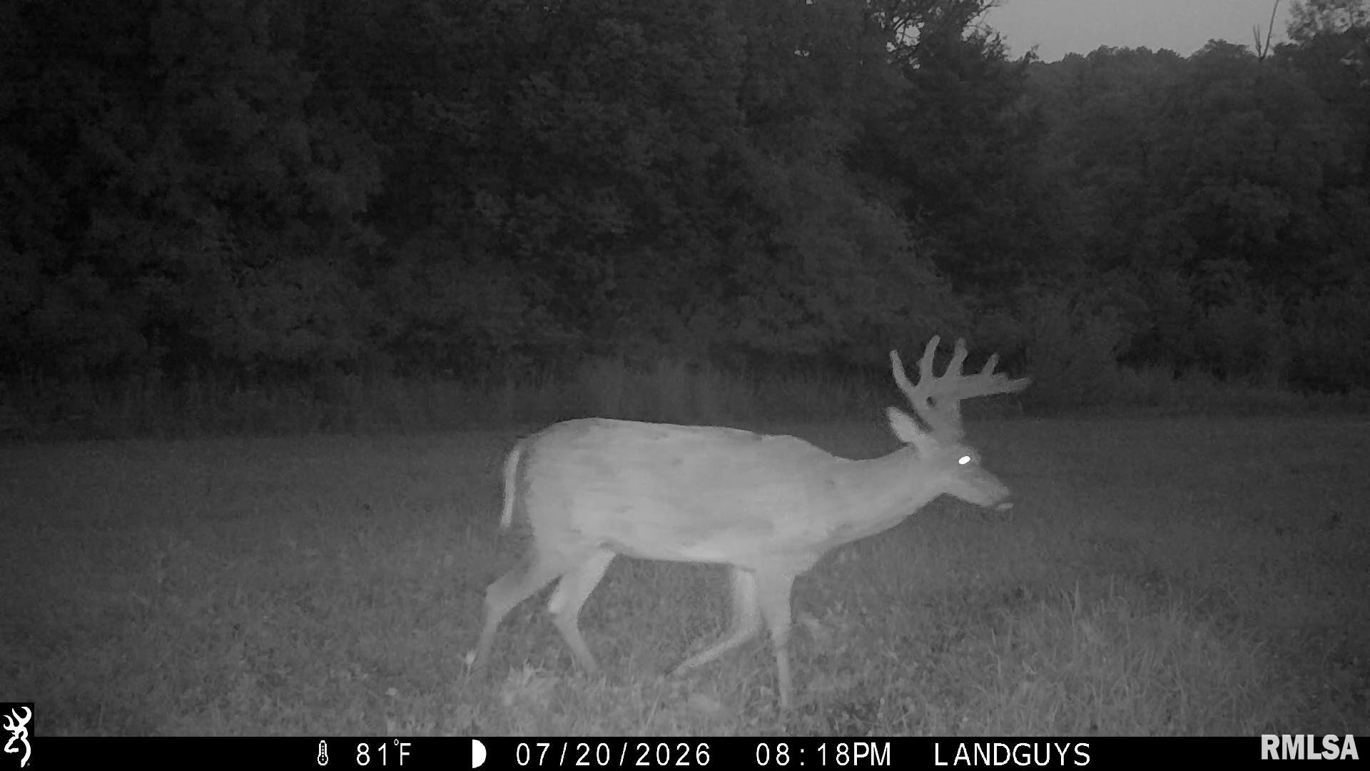 18881 East Hart Road Marietta, IL 61459 - Photo 59 of 62 Gallery Image 59