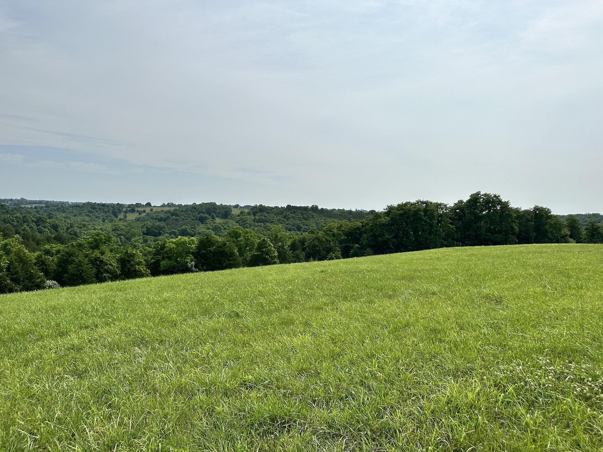 4 Vallandingham Road Dry Ridge, KY 41035 - Photo 2 of 5