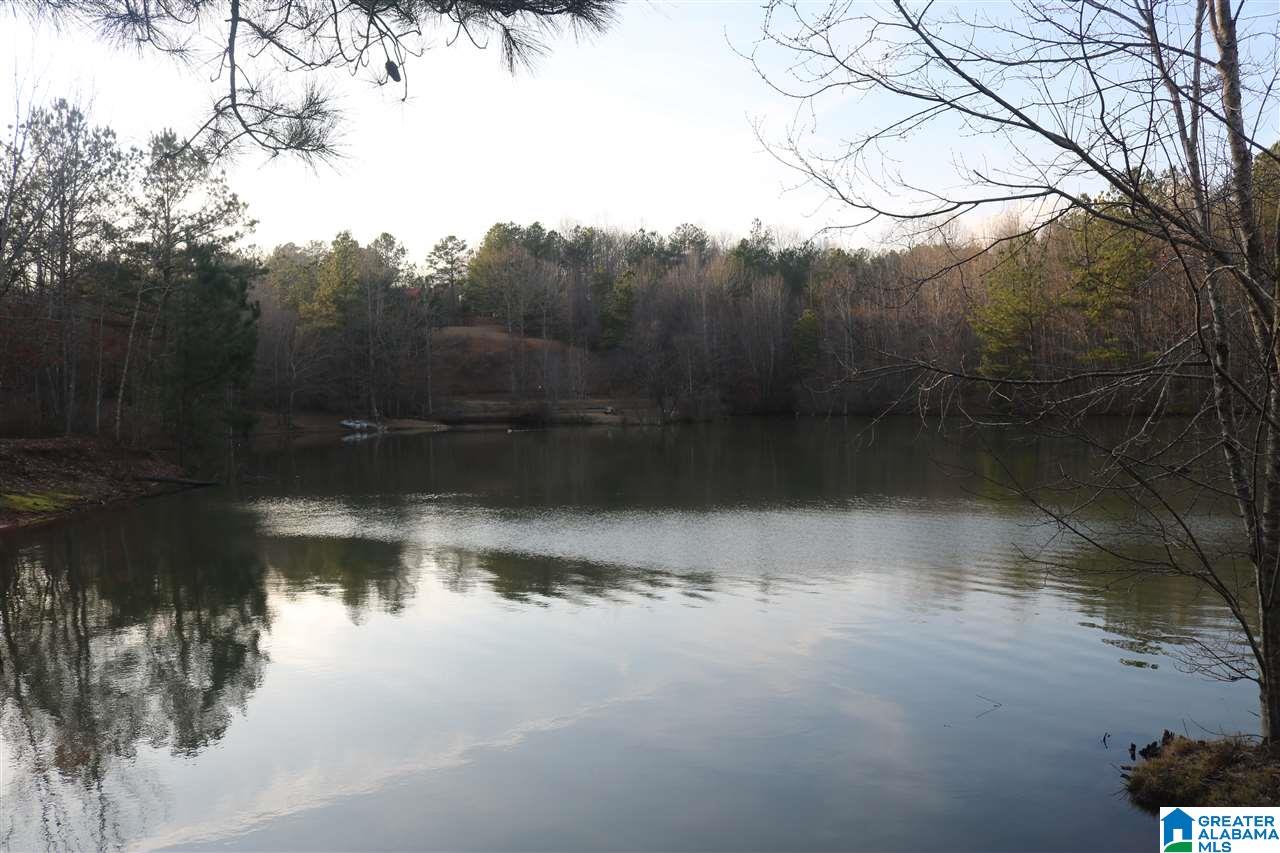 0 County Road 928, Unit 36 Delta, AL 36258 - Photo 15 of 20