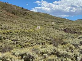 800 Homestead Road Road Cokeville, WY 83114 - Photo 14 of 49 Additional content
