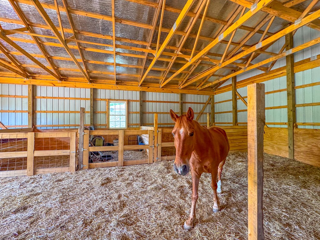 3325 Pack Mountain Road Murphy, NC 28906 - Photo 3 of 69