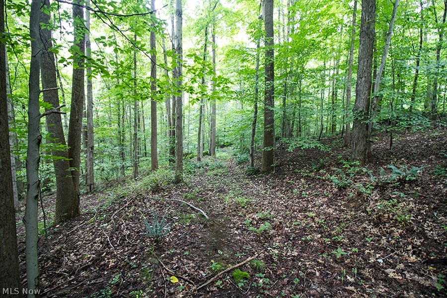 5854 Dog Run Road Mineral City, OH 44656 - Photo 17 of 24