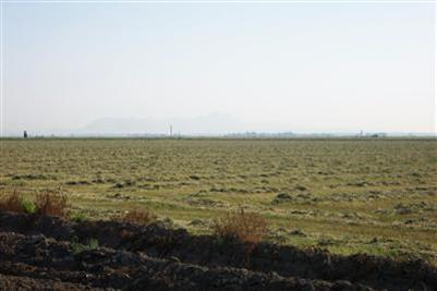 -3 Spicer Road Arbuckle, CA 95912 - Photo 3 of 5 Gallery Image 3