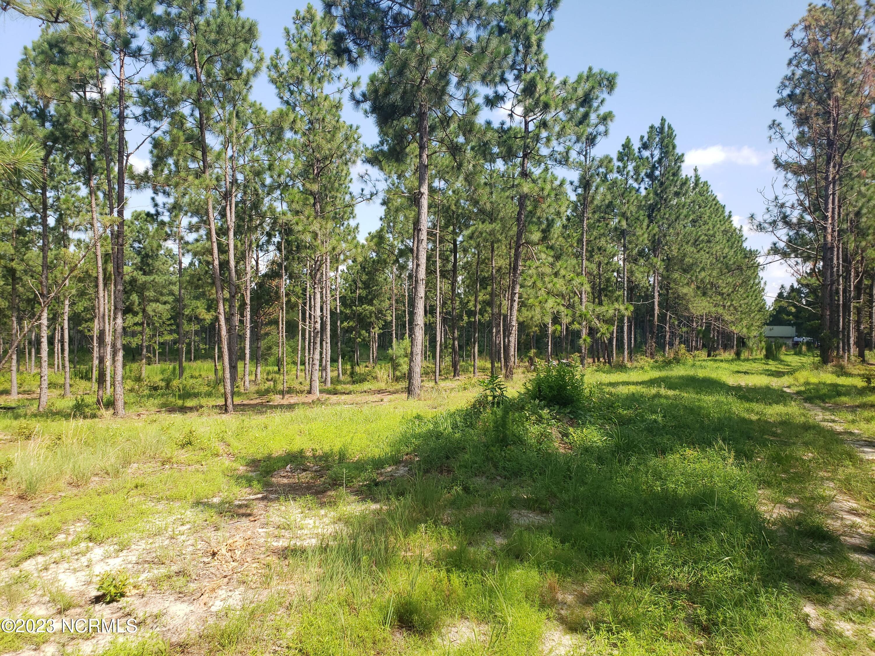 1768 Reservation Road Aberdeen, NC 28315 - Photo 3 of 11 20230723_110421