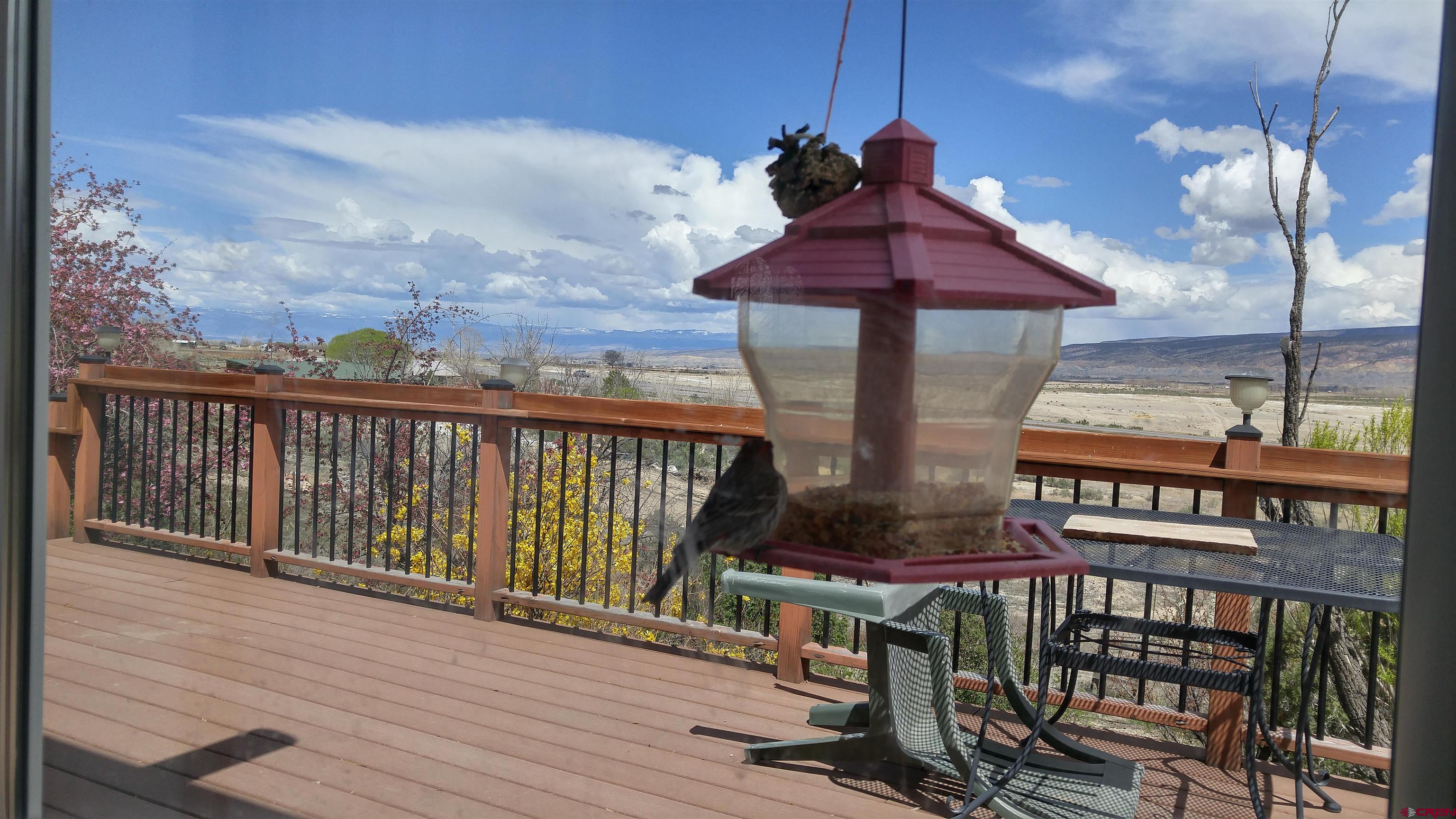 61490 Epitaph Road Montrose, CO 81403 - Photo 5 of 28 Gallery Image 5