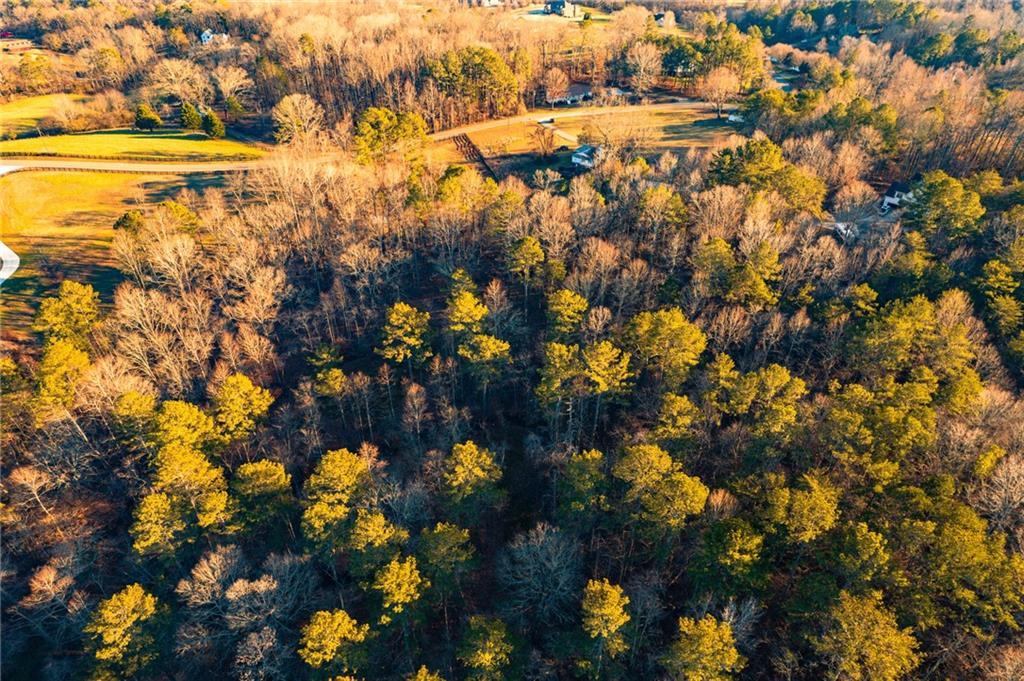 873 Long Road Ball Ground, GA 30107 - Photo 13 of 20