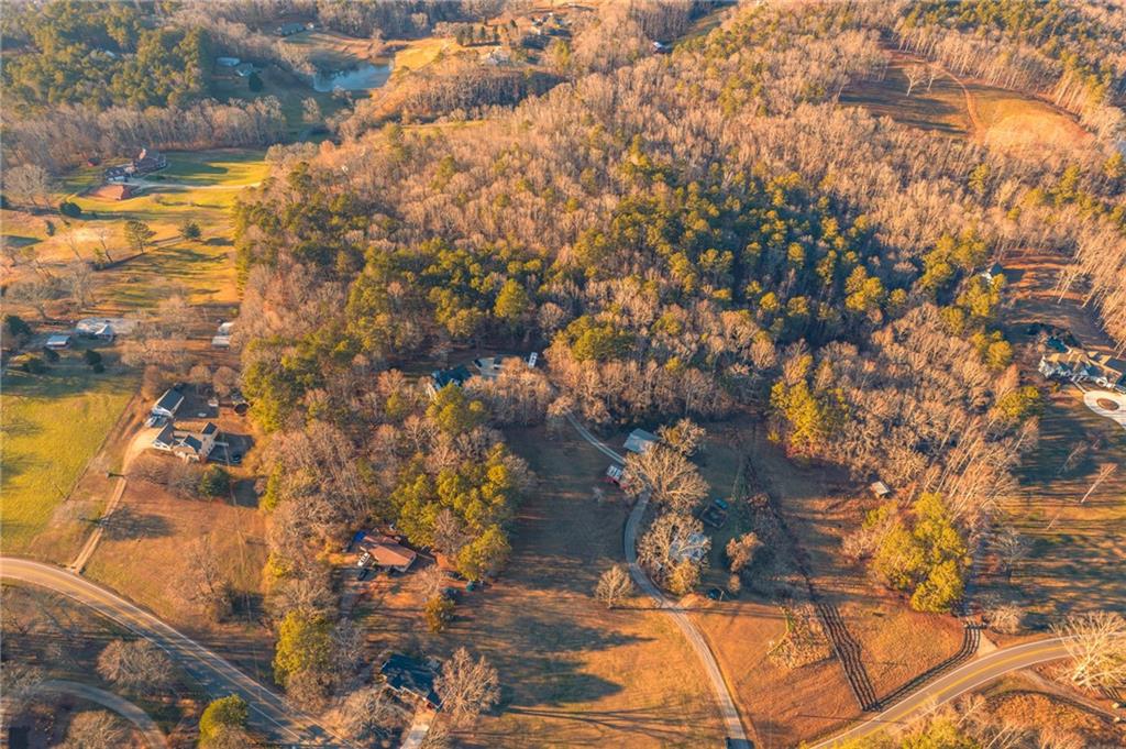 873 Long Road Ball Ground, GA 30107 - Photo 9 of 20