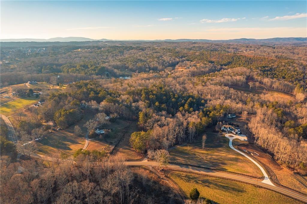 873 Long Road Ball Ground, GA 30107 - Photo 10 of 20