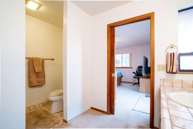 a bathroom with a sink and a toilet