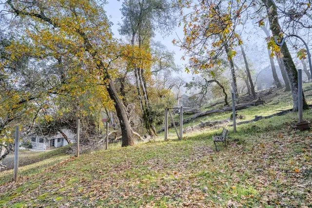 a backyard of a house with lots of green space