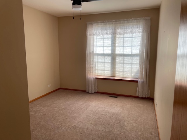 296 West Prairie Walk Lane Round Lake, IL 60073 - Photo 6 of 23