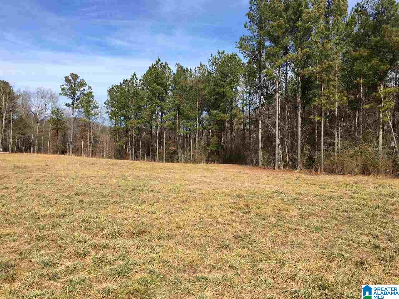 0 Shoal Creek Road, Unit 10 AC Ashville, AL 35953 - Photo 7 of 13